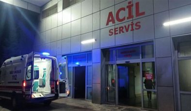 Karamürsel’de Motor Kazası